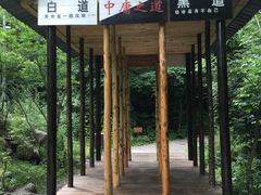 -青峰峡国家森林公园