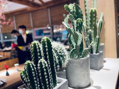 -蜜桃餐厅·伴山(湖滨商业街店)