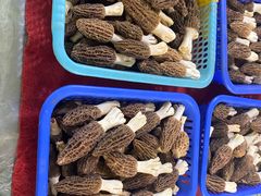 -五里多农博广场