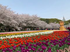 -苏州上方山国家森林公园