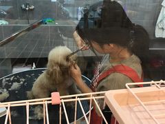 -e嘉宠物店(北大街店)