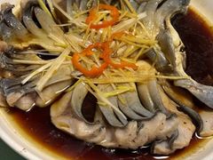 -煲来饱去冷水鱼