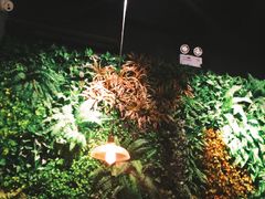 -酷公社·榴莲披萨(太原街店)