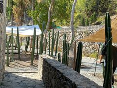 -MOJ coffee(瓯海泽雅水碓坑店)