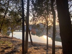 -泰山风景名胜区-普照寺