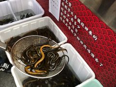 -储奇门鳝鱼火锅(总店)