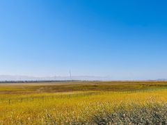 -野鸭湖国家湿地公园