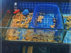 水产区-潮三爷砂锅焗海鲜·生腌·海鲜粥(朝晖店)