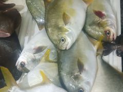 -金鸡岭农贸市场