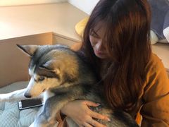 -Husky Go! 哈士奇体验馆·宠物咖啡厅狗咖