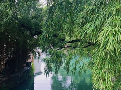 -乌镇景区