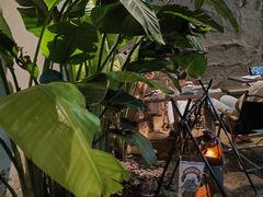 -J Create城市露营咖啡·简餐·宠物(上海动物园店)