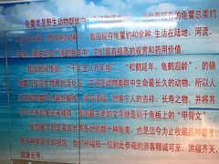 -上海大自然野生昆虫馆(东方明珠·爬宠昆虫探索中心)