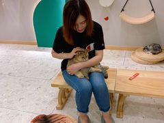 -飞行喵MR PILOT|猫舍·猫咖(静安大融城店)