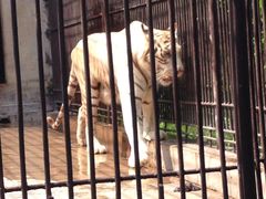 -广东茂名森林公园