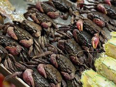 -席娜卡琳火车铁道夜市