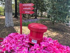 -上海鲜花港