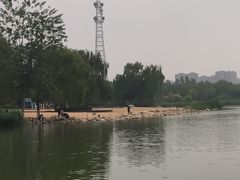 -大兴滨河森林公园