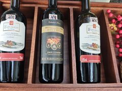 -虹桥机场国航贵宾室v8