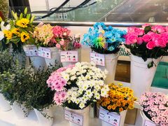 -飞洲国际广场