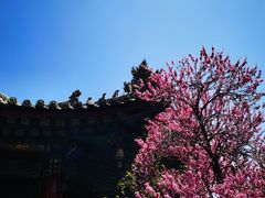 -西安市广仁寺
