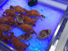 -水都假日酒店-海韵西餐厅(龙胜路店)