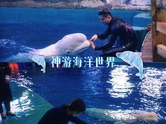 -威海华夏城景区