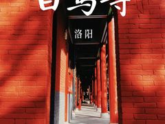 -洛阳白马寺