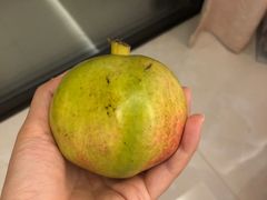 -鲜果壹号(苏站路店)
