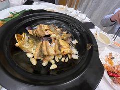 -骏莱海鲜鱼港(五角场店)