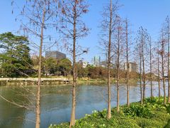 -怡海公园(桂城街道)