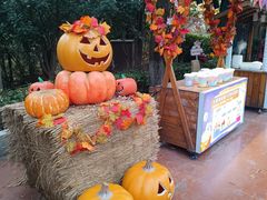 -郑州方特梦幻王国