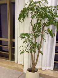 -JNK皮肤管理中心