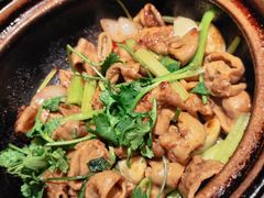 -煲煲好(朝阳门店)