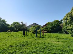-桃花岛景观公园