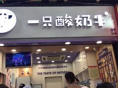 门面-一只酸奶牛(八一路店)