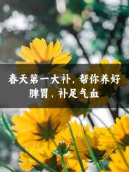 -雅曼妮spa美容养生