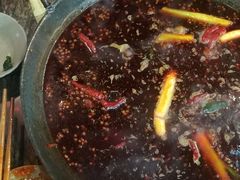 -星鸿社重庆老火锅(燃灯寺分店)