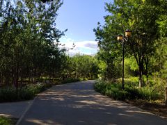 -永定河休闲森林公园