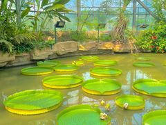 -华南国家植物园-售票处