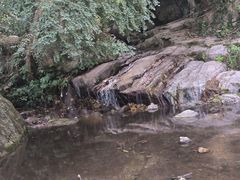 -阳台山森林公园