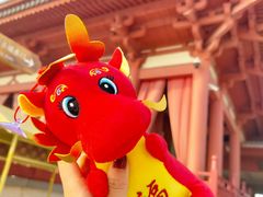 -海合安苏州阳澄半岛乐园