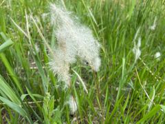 -野鸭湖国家湿地公园