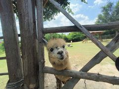 -泉州海丝野生动物世界