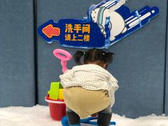 -Mr·Kuma酷么先生雪之乐园