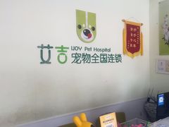 -艾吉宠物医院·疑难杂症转诊中心·猫友好(碧江路院)