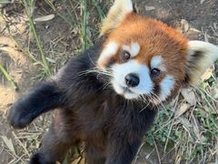 -宁波野生动物园