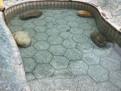 -明月山天沐温泉度假村