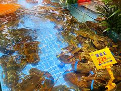 -79号渔船海鲜饭店(宝安店)