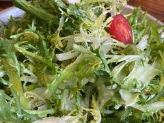 凉拌苦菊-呱呱叫民俗风味主题餐厅(沣峪口店)